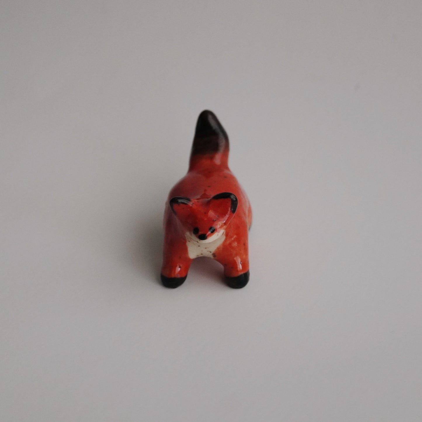 red fox