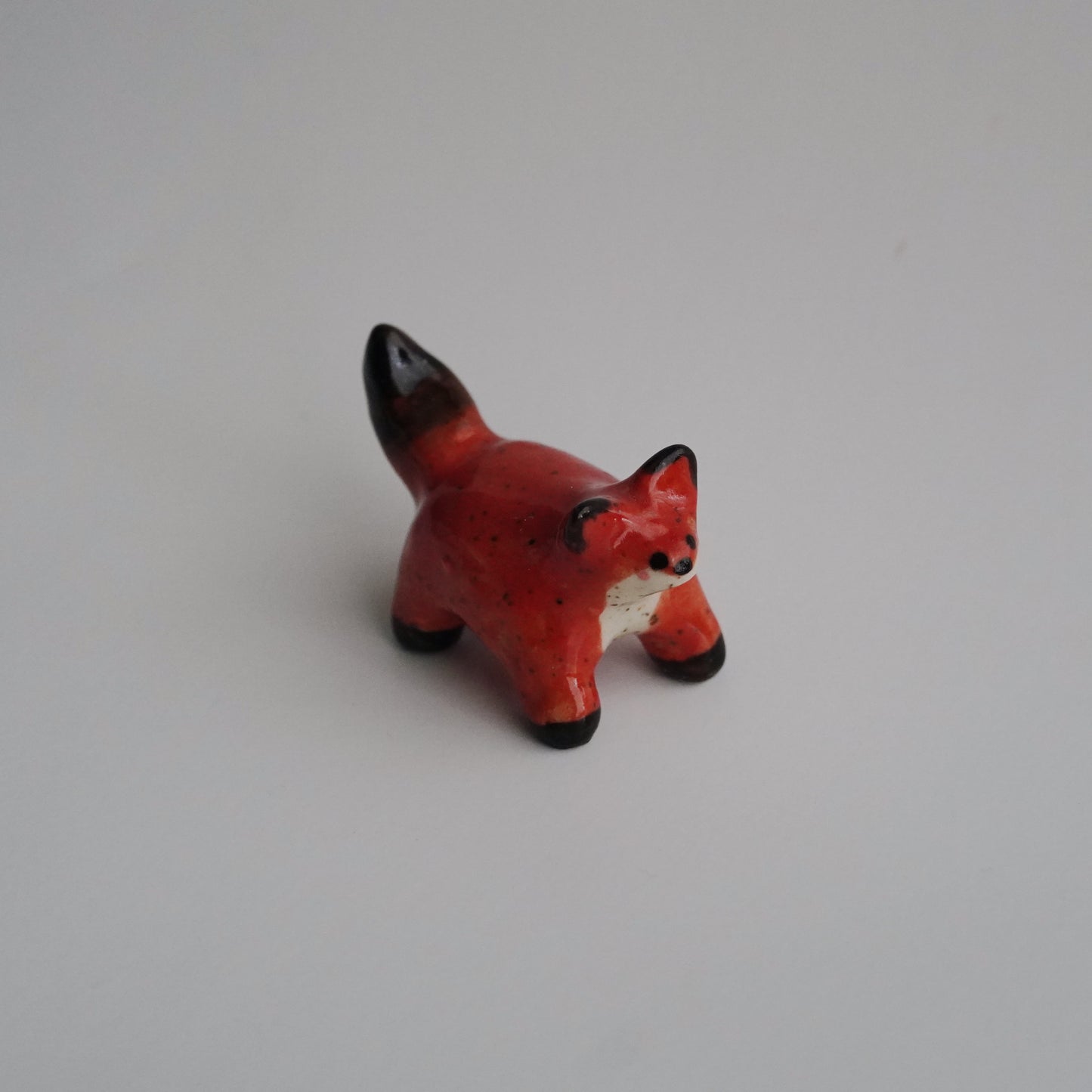 red fox