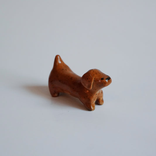 dachshund