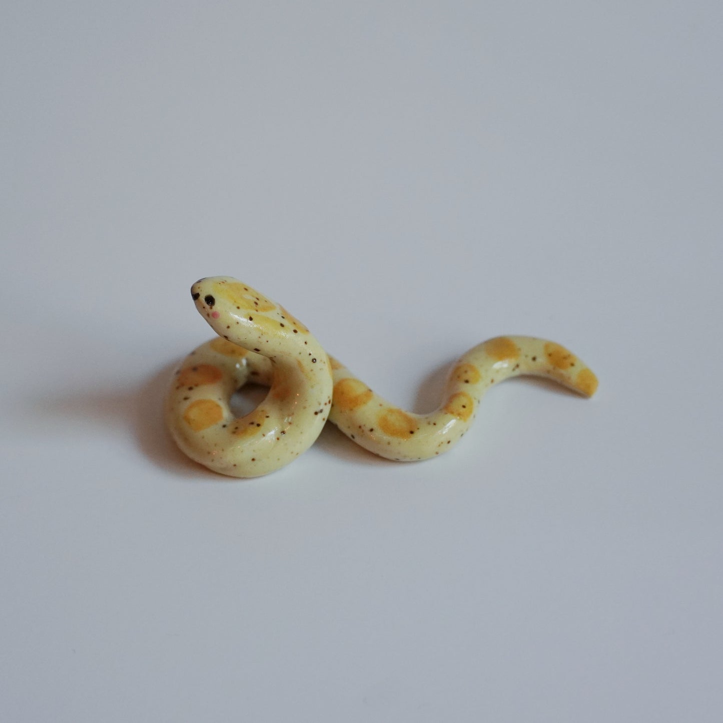 butter cornsnake