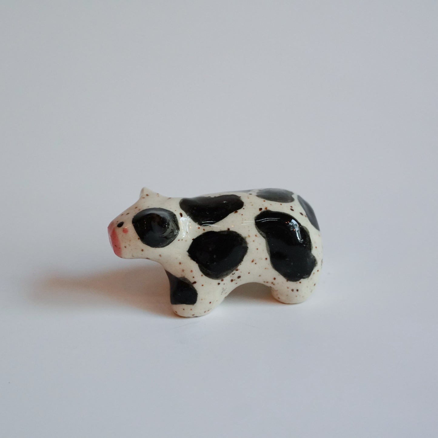 chunky cow 1