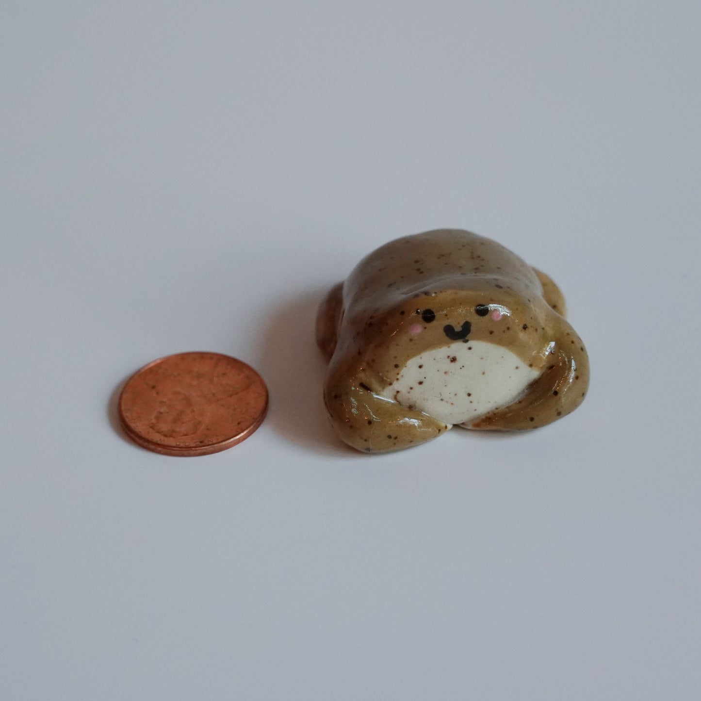 chunky rain frog