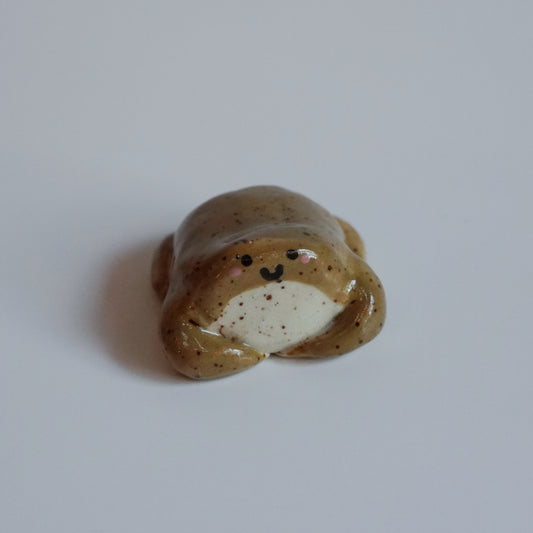 chunky rain frog