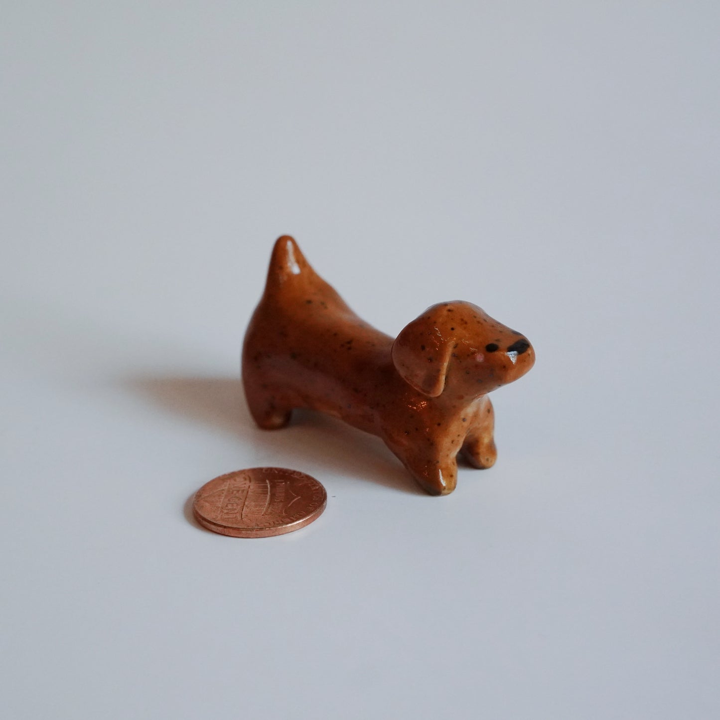 dachshund