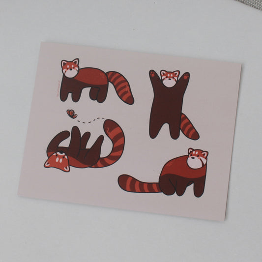 red panda postcard